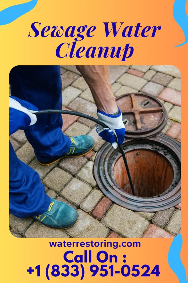 Sewage Water Cleanup in Sun, LA